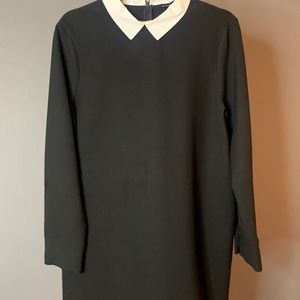 Zara preppy black dress